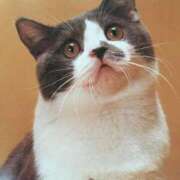 ヒメ日記 2025/11/24 23:13 投稿 さとみ 待ちナビ