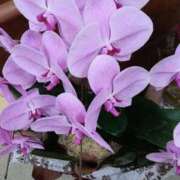 ヒメ日記 2025/11/26 18:25 投稿 さとみ 待ちナビ