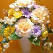 ヒメ日記 2025/11/30 16:15 投稿 さとみ 待ちナビ