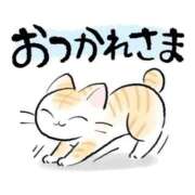 ヒメ日記 2025/12/01 06:45 投稿 さとみ 待ちナビ