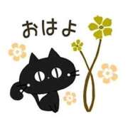 ヒメ日記 2025/12/06 09:45 投稿 さとみ 待ちナビ