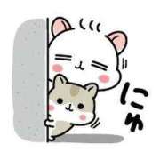 ヒメ日記 2025/12/07 09:45 投稿 さとみ 待ちナビ