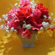 ヒメ日記 2025/12/24 12:09 投稿 さとみ 待ちナビ