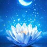 ヒメ日記 2026/01/01 02:02 投稿 さとみ 待ちナビ