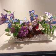 ヒメ日記 2026/01/12 00:25 投稿 さとみ 待ちナビ