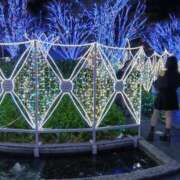 ヒメ日記 2026/01/16 19:15 投稿 さとみ 待ちナビ