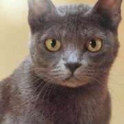 ヒメ日記 2026/02/03 13:35 投稿 さとみ 待ちナビ