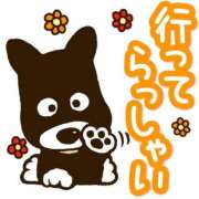 ヒメ日記 2026/02/11 08:48 投稿 さとみ 待ちナビ