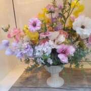 ヒメ日記 2026/04/04 00:15 投稿 さとみ 待ちナビ