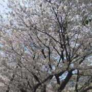 ヒメ日記 2026/04/05 18:25 投稿 さとみ 待ちナビ