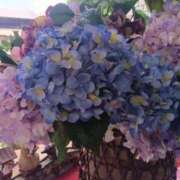 ヒメ日記 2026/05/17 16:41 投稿 さとみ 待ちナビ