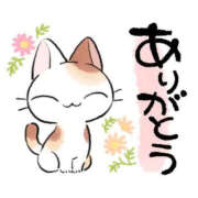 ヒメ日記 2026/10/23 16:45 投稿 さとみ 待ちナビ