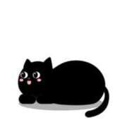 ヒメ日記 2025/08/26 22:22 投稿 みく 茨城ちゃんこ土浦つくば店