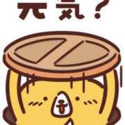 ヒメ日記 2026/06/06 17:44 投稿 みく 茨城ちゃんこ土浦つくば店