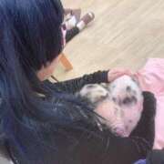 ヒメ日記 2025/09/08 18:14 投稿 はずき 君とふわふわプリンセスin立川