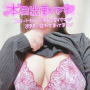 ヒメ日記 2026/02/19 12:21 投稿 ひかり☆小悪魔の甘い罠☆ ぽちゃぶらんか甲府店(カサブランカグループ)