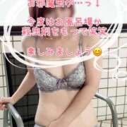 ヒメ日記 2026/04/11 14:20 投稿 みどり 多恋人倶楽部（山口）