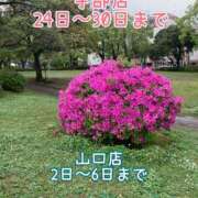 ヒメ日記 2026/04/18 20:50 投稿 みどり 多恋人倶楽部（山口）