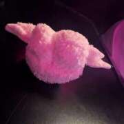 ヒメ日記 2025/08/27 23:02 投稿 みな 君とふわふわプリンセスin立川