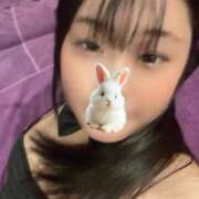 ヒメ日記 2025/09/21 17:43 投稿 モナ ドMなバニーちゃん大宮店