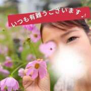 ちえ お兄さまと過ごす幸せいっぱいの時間 横浜回春性感マッサージ倶楽部