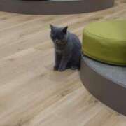 ヒメ日記 2025/09/02 08:24 投稿 るな 奥様メモリアル