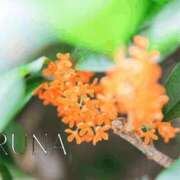 ヒメ日記 2025/09/22 08:27 投稿 るな 奥様メモリアル