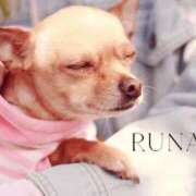 ヒメ日記 2026/02/10 09:12 投稿 るな 奥様メモリアル