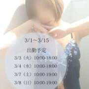 ヒメ日記 2026/03/02 19:03 投稿 るな 奥様メモリアル