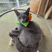 ヒメ日記 2025/12/08 22:22 投稿 のあ 木更津人妻花壇