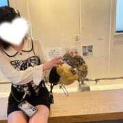 ヒメ日記 2025/09/09 17:30 投稿 さくら姫 CLUB BLENDA 西中島・新大阪・南方店