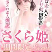 ヒメ日記 2026/01/30 16:50 投稿 さくら姫 CLUB BLENDA 西中島・新大阪・南方店