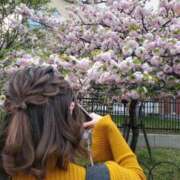 ヒメ日記 2026/04/05 14:58 投稿 さくら姫 CLUB BLENDA 西中島・新大阪・南方店