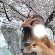 ヒメ日記 2026/04/10 22:33 投稿 ハツネ マドンナ(仙台)