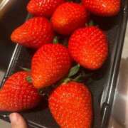 ヒメ日記 2025/12/16 14:51 投稿 つばきchan AZUL本庄