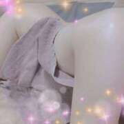 ヒメ日記 2025/12/20 08:27 投稿 巡音 Bell.Madonna（ベルマドンナ）