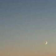 ヒメ日記 2025/11/24 10:22 投稿 なつめ アイドルドリーム