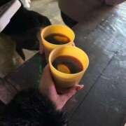 ヒメ日記 2025/11/26 12:46 投稿 なつめ アイドルドリーム