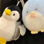 なつめ なつめです🐧 アイドルドリーム