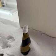 ヒメ日記 2026/01/29 10:39 投稿 なつめ アイドルドリーム