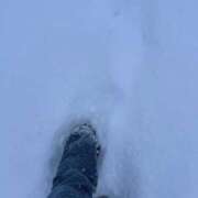 ヒメ日記 2026/01/31 16:29 投稿 なつめ アイドルドリーム