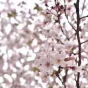 ヒメ日記 2026/04/09 19:35 投稿 まりる 上野ハンドメイド