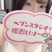 まお※経験極浅大学生♪ 撮ってきたよ🤫🧸 きらめけ！にゃんにゃん学園in大宮