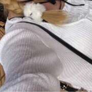 ヒメ日記 2025/08/27 10:19 投稿 みみ スピードエコ日本橋店