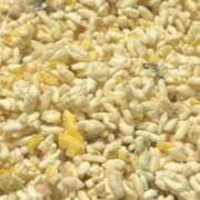 みみ みみ（エコ日本橋店） スピードエコ日本橋店