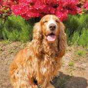 ヒメ日記 2025/09/03 05:14 投稿 れな 町田ギャルの宅急便