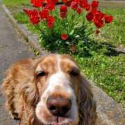 ヒメ日記 2025/09/06 02:19 投稿 れな 町田ギャルの宅急便