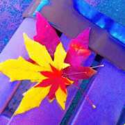 ヒメ日記 2025/09/19 05:43 投稿 れな 町田ギャルの宅急便