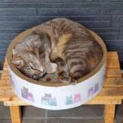 ヒメ日記 2025/09/21 06:47 投稿 れな 町田ギャルの宅急便