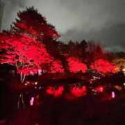 ヒメ日記 2025/11/05 10:46 投稿 かぐら ドMな逆バニーちゃん　すすきの店